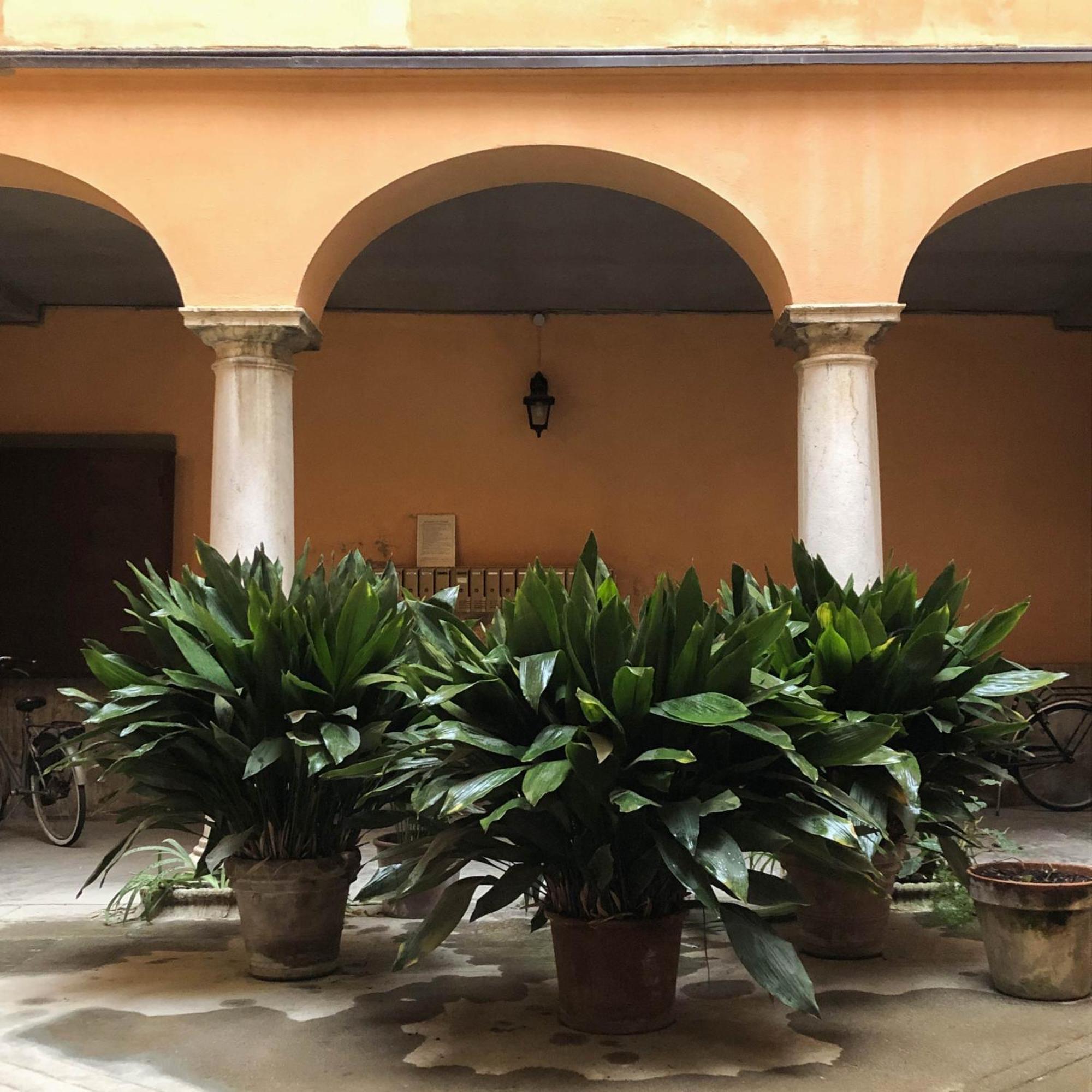 Casa Giulietta Apartment Cremona Exterior foto
